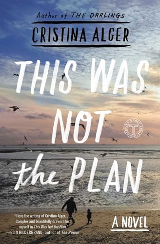 This Was Not the Plan: A Novel