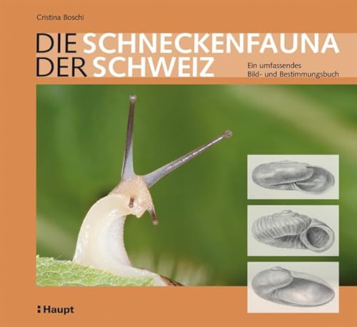 Die Schneckenfauna der Schweiz: Ein umfassendes Bild- und Bestimmungsbuch von Haupt Verlag AG