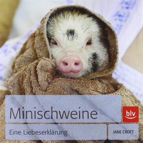 Minischweine: Eine Liebeserklärung
