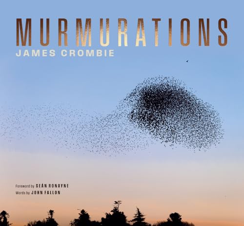 Murmuration von The Lilliput Press Ltd