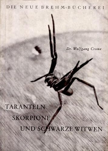 Taranteln, Skorpione und Schwarze Witwen: Ein Streifzug durch das Reich der giftigen Spinnentiere von Militzke Verlag GmbH