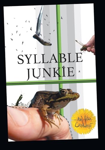Syllable Junkie von FriesenPress