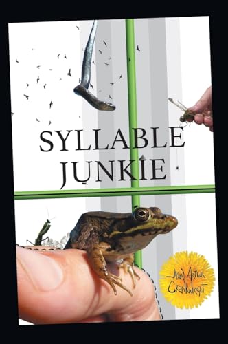 Syllable Junkie von FriesenPress