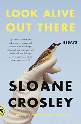 Look Alive Out There: Essays von Picador