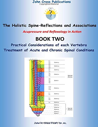 The Holistic Spine - Reflections and Associations: Acupressure and Reflexology in Action (Book Two) von John Cross Publications
