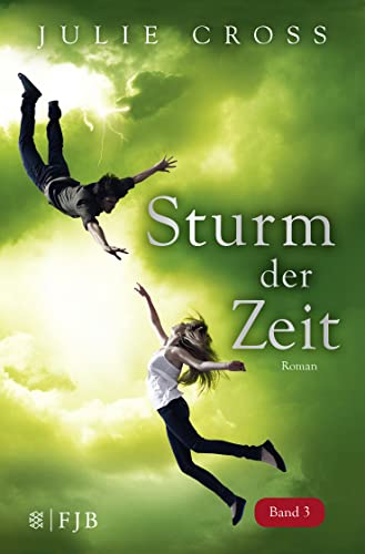 Sturm der Zeit: Roman