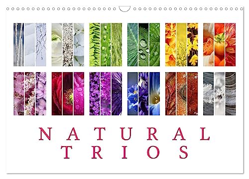 Natural Trios (Wandkalender 2025 DIN A3 quer), CALVENDO Monatskalender von CALVENDO