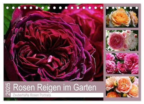 Rosen Reigen im Garten (Tischkalender 2025 DIN A5 quer), CALVENDO Monatskalender von CALVENDO