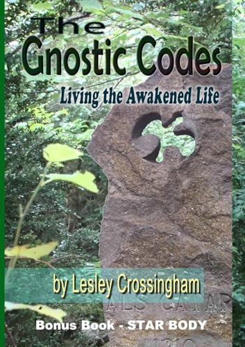 The Gnostic Codes: Living an Awakened Life von Lulu.com