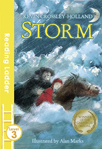 Storm (Reading Ladder Level 3) von Egmont UK Ltd