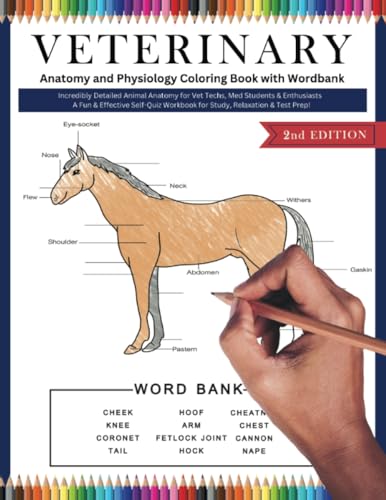 Veterinary Anatomy and Physiology Coloring Book with Wordbank von PublishDrive