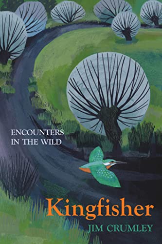 Kingfisher (Encounters in the Wild)