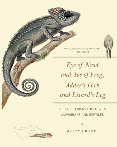 Eye of Newt and Toe of Frog, Adder's Fork and Lizard's Leg: The Lore and Mythology of Amphibians and Reptiles von University of Chicago Press