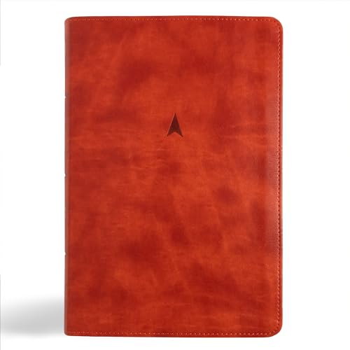 CSB Church Bible, Anglicised Edition, British Tan Leathertouch CSB Church Bible, Anglicised Edition, British Tan Leathertouch von Holman Bibles