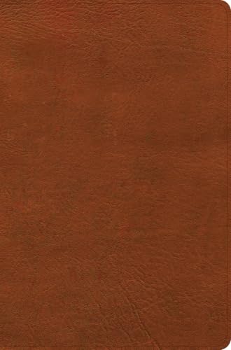 CSB Giant Print Reference Bible, Digital Study Edition, Burnt Sienna Leathertouch