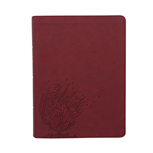Holy Bible: Csb Experiencing God Bible, Burgundy Leathertouch Holy Bible: Csb Experiencing God Bible, Burgundy Leathertouch