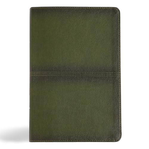 Holy Bible: Csb Men's Daily Bible, Olive Leathertouch von LifeWay Christian Resources