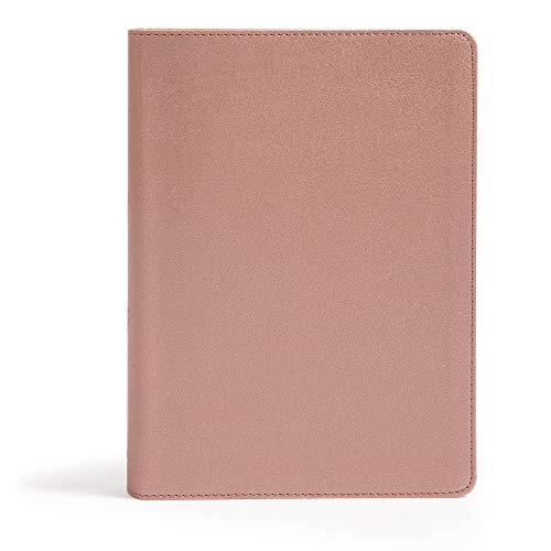 Holy Bible: Csb She Reads Truth Bible, Rose Gold Leathertouch von Holman Bibles