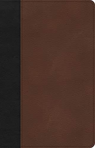 Holy Bible: Csb Thinline Bible, Black/Brown Leathertouch