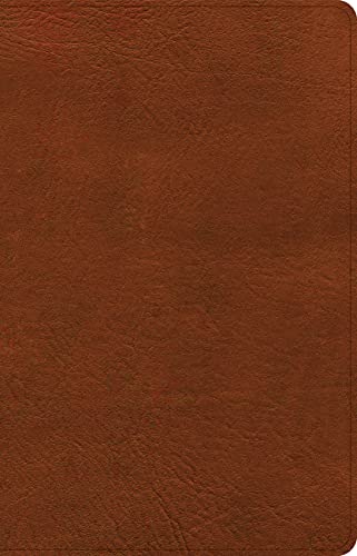 Holy Bible: Csb Thinline Bible, Burnt Sienna Leathertouch Holy Bible: Csb Thinline Bible, Burnt Sienna Leathertouch