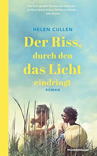 Der Riss, durch den das Licht eindringt: Roman von Goldmann