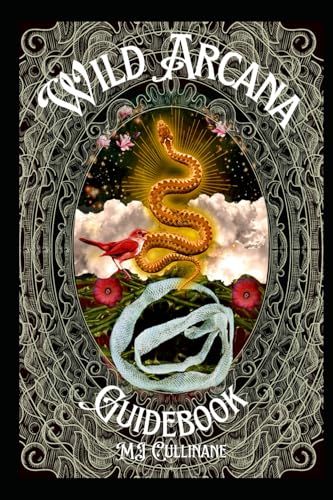 Wild Arcana - Guidebook: Tarot for beginners von Independently published