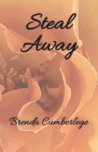 Steal Away von Manzanita Writers Press