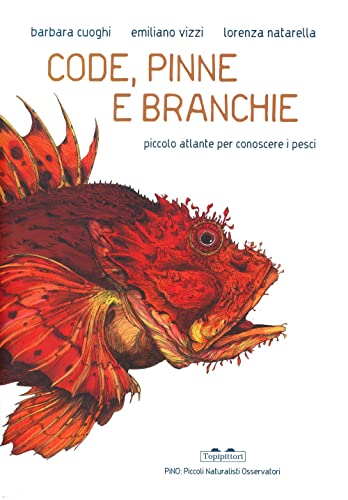 Code, pinne e branchie. Piccolo atlante per conoscere i pesci (PiNO. Piccoli naturalisti osservatori) von TopiPittori