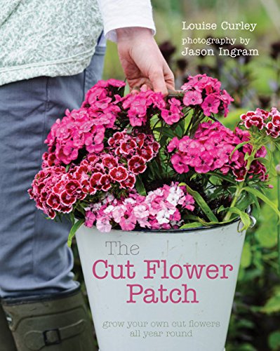 Cut Flower Patch: Grow your own cut flowers all year round