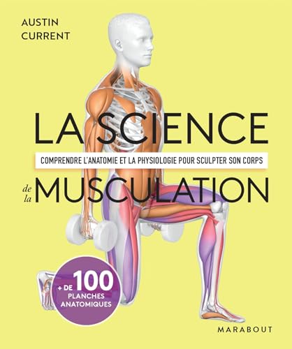La science de la musculation: Comprendre l'anatomie et la physiologie pour sculpter son corps