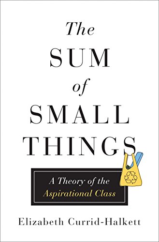 Sum of Small Things: A Theory of the Aspirational Class