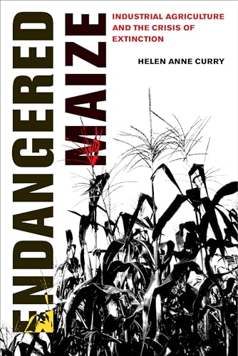 Endangered Maize: Industrial Agriculture and the Crisis of Extinction von University of California Press