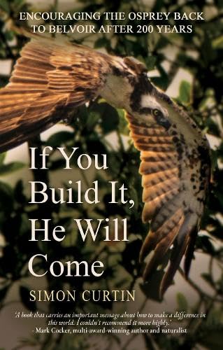 If You Build It, He Will Come von Cranthorpe Millner Publishers