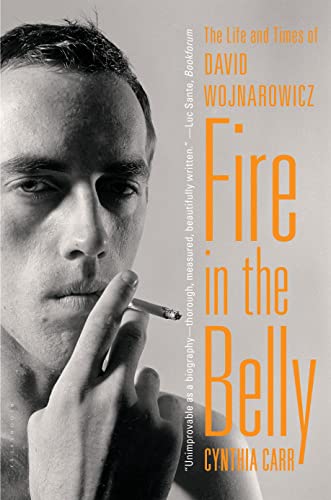Fire in the Belly: The Life and Times of David Wojnarowicz von Bloomsbury USA