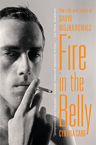 Fire in the Belly: The Life and Times of David Wojnarowicz Fire in the Belly: The Life and Times of David Wojnarowicz von Bloomsbury USA