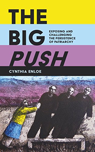 The Big Push: Exposing and Challenging the Persistence of Patriarchy von Myriad Editions