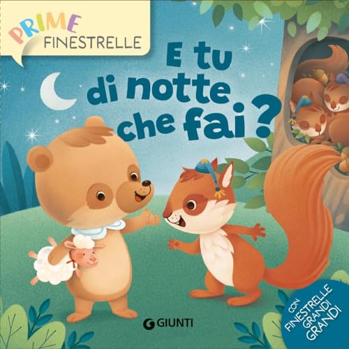 E tu di notte che fai? Ediz. a colori (Prime finestrelle)