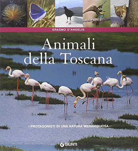 Animali della Toscana. I protagonisti di una natura meravigliosa. Ediz. a colori (Atlantissimi) von Giunti Editore