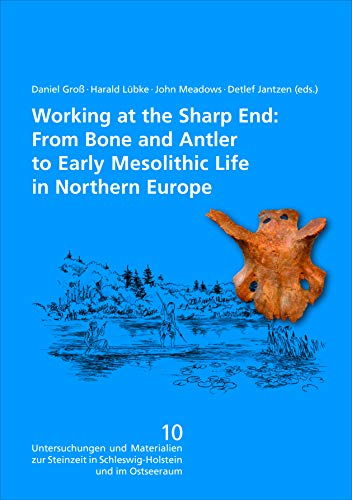 Working at the sharp end at Hohen Viecheln: from bone and antler to Early Mesolithic life in Northern Europe (Untersuchungen und Materialien zur ... ... in Schleswig-Holstein und im Ostseeraum) von Wachholtz Verlag GmbH