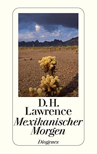 Mexikanischer Morgen: Reisetagebücher (detebe) von Diogenes Verlag