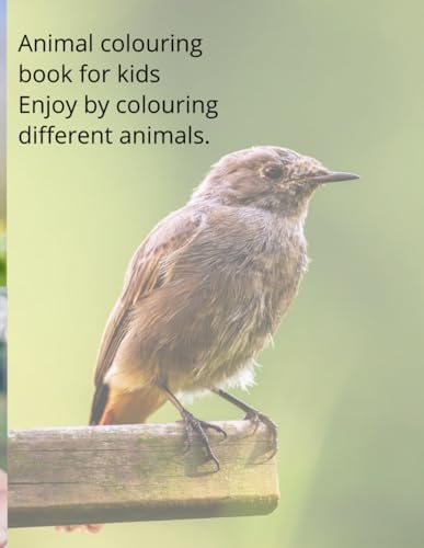 coloring book von Independently published