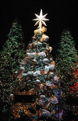 A CHRISTMAS CAROL A CHRISTMAS CAROL von Independently published