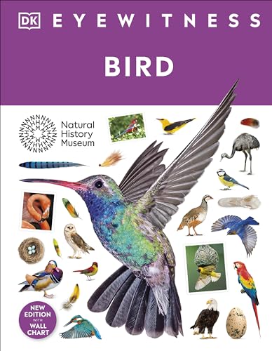 Bird: DK Eyewitness von DK Children