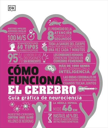 Cómo funciona el cerebro: Guía gráfica de neurociencia von DK