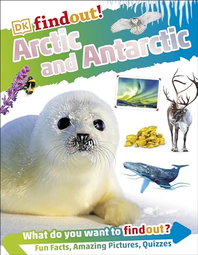 DKFindout! Arctic and Antarctic von DK Children