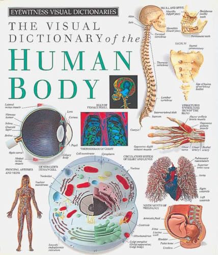 Eyewitness Visual Dictionaries: The Visual Dictionary of the Human Body (DK Eyewitness)