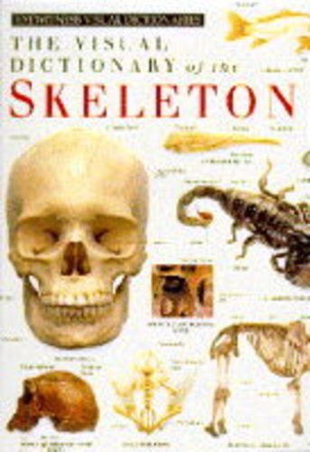 Eyewitness Visual Dictionary: 17 Skeleton (DK Eyewitness Visual Dictionary)