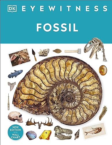 Fossil: DK Eyewitness von DK Children