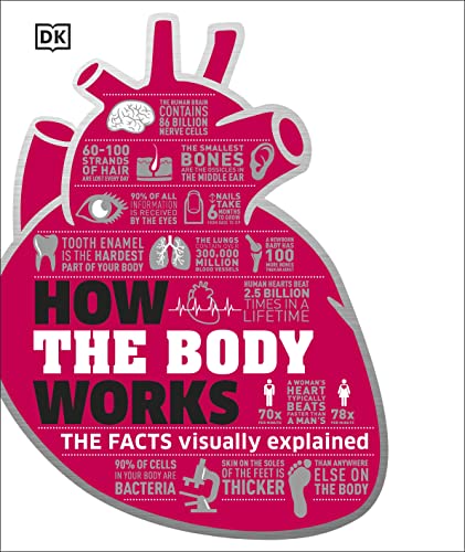 How the Body Works: The Facts Simply Explained (DK How Stuff Works) von DK