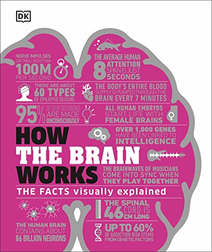How the Brain Works: The Facts Visually Explained (How Things Work) von DK